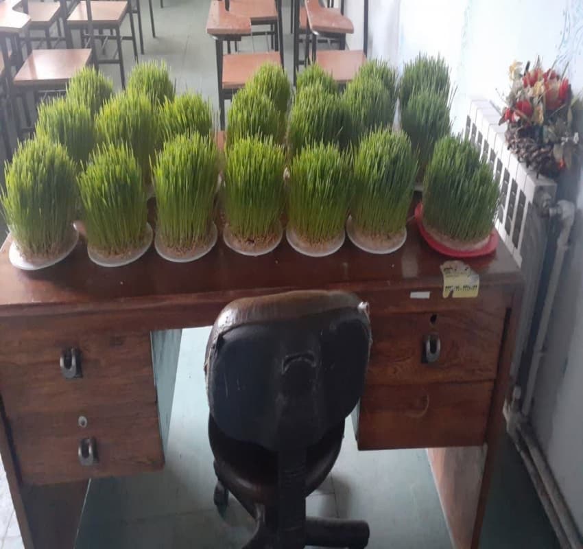 سبزه دانش آموزان عزیز به مناسبت سال نو